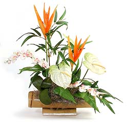 Tropical Silk Flower Arrangement in Bamboo